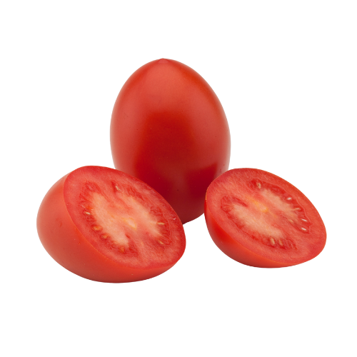 Intense tomato | BelOrta