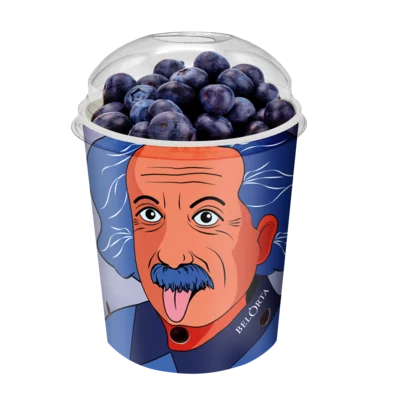 Brainboosters blauwe bes