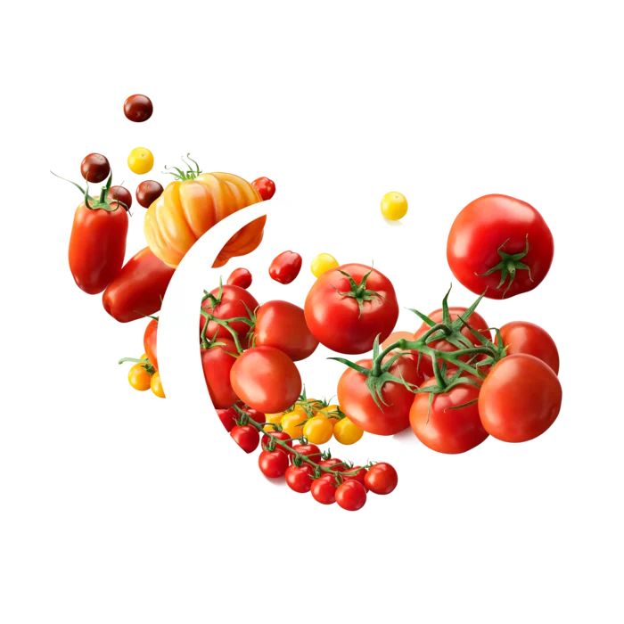 BelOrta O met verschillende soorten tomaten