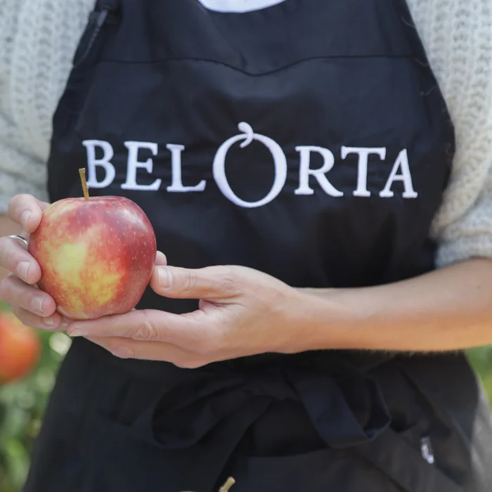 BelOrta vacature marketing