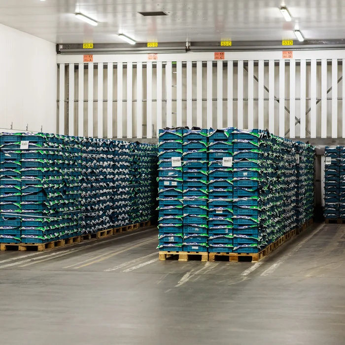 Inkoelen van producten op de site van BelOrta