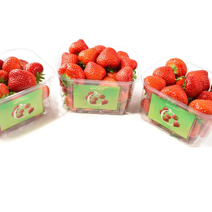 RPET punnet aardbei