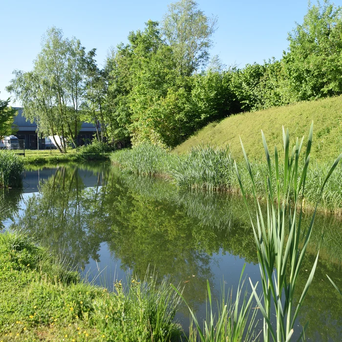 Wadi op het bedrijventerrein van BelOrta