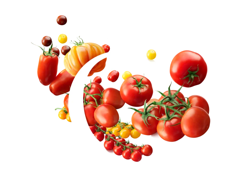 BelOrta O met verschillende soorten tomaten